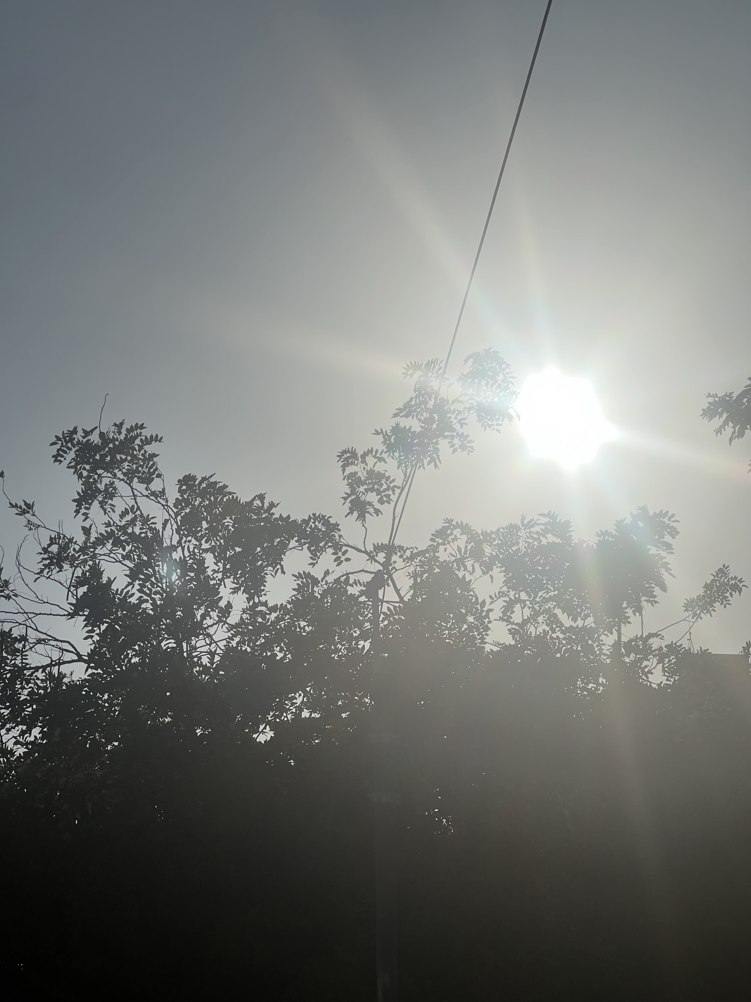 可以被取代的是重複，不可被取代的是視角-Day274