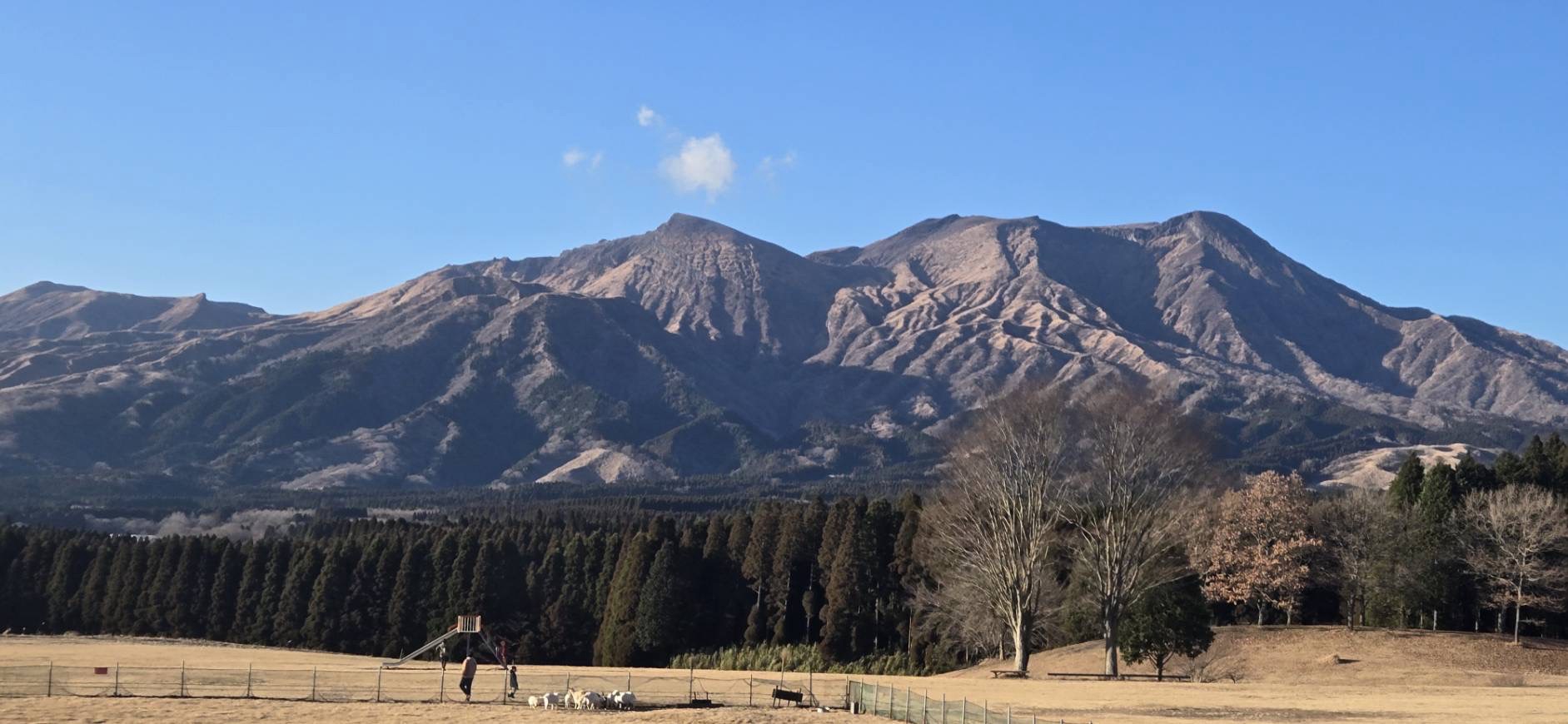 A Crazy Business Idea I’d Actually Love to&nbsp;Build