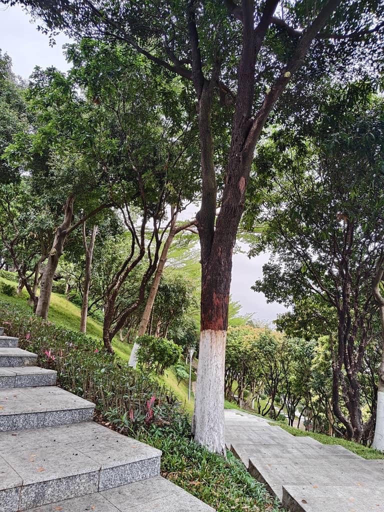 Designing My Life Through Small&nbsp;Habits